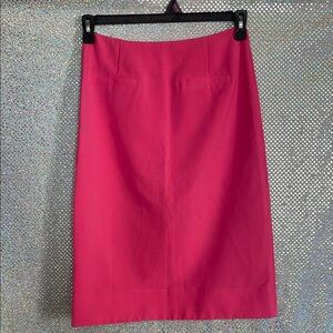 Elegant Pink Women's Skirt